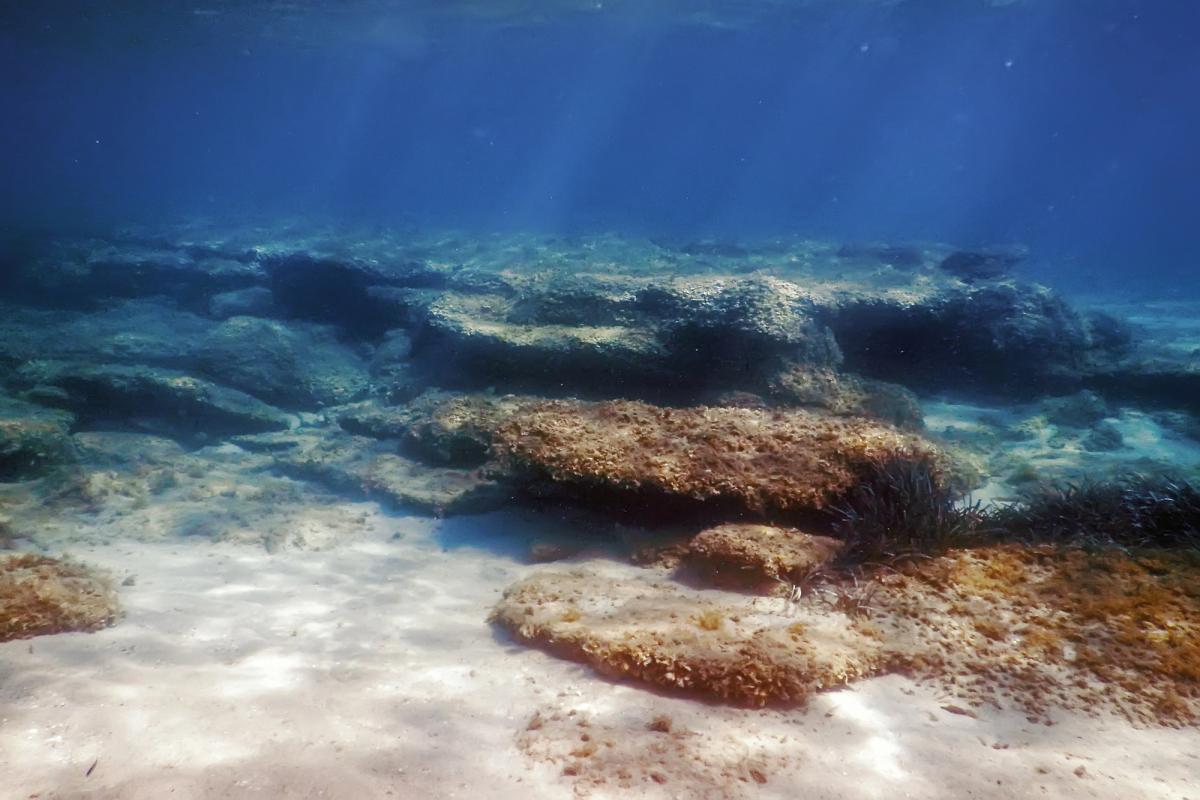 Вчені розкрили таємницю прихованої "золотої кухні" Землі під дном океану